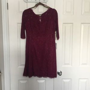 NWT Eliza J Burgundy Lace Dress Sz8P petite